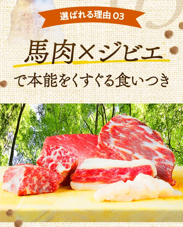選ばれる理由03　馬肉×ジビエで本能をくすぐる食いつき