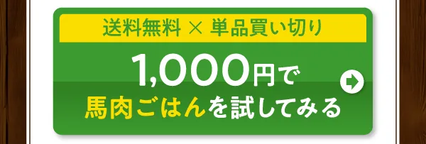送料無料　単品買い切り　1000円で馬肉ごはんをお試し注文する