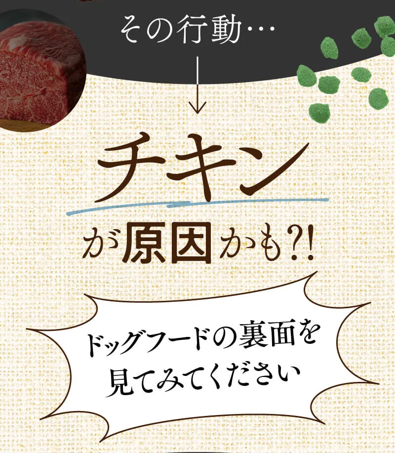 チキンアレルギーが原因かも?! 知っていますか？ワンちゃんがアレルギーを引き起こしやすい食材グラフ。【ワースト5】1位：牛肉(36%)、2位：乳製品(28%)、3位：小麦(15%)、4位：卵(10%)、5位：鶏肉(9.6%)。※引用元:Food Allergy in Dogs and Cats: A Review 2006