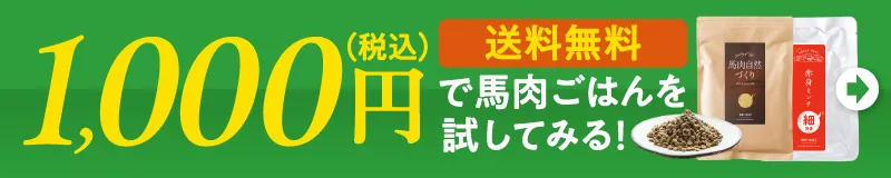 送料無料　1000円で馬肉ごはんを試してみる！