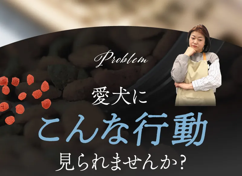 Problem 愛犬にこんな行動見られませんか？