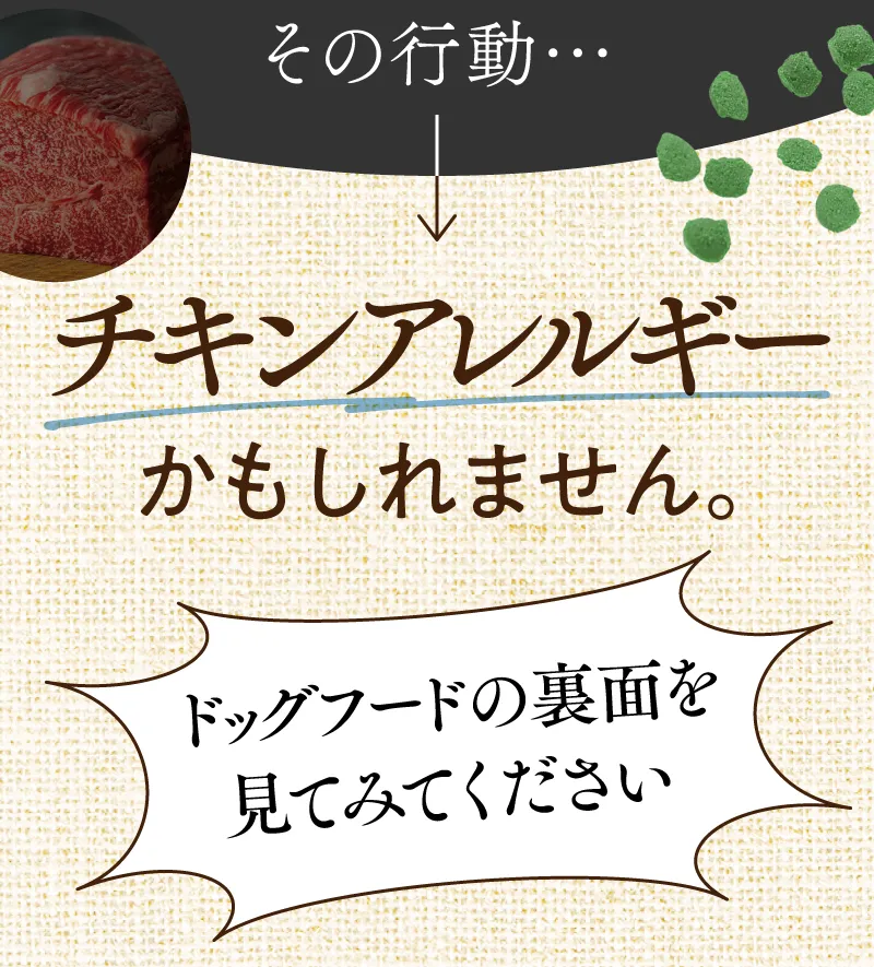 チキンアレルギーが原因かも?! ドッグフードの裏面を見てください。