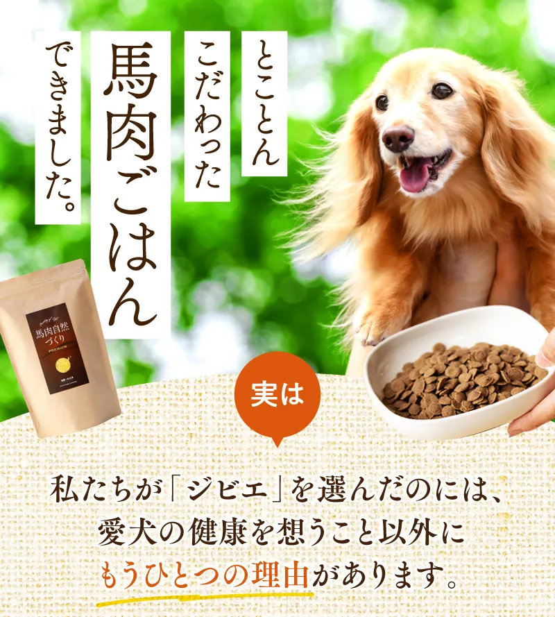 とことんこだわった馬肉ごはんできました。美味しそうなごはんを見るダックスフンド。実は、私たちがジビエを選んだのには愛犬の健康を想うこと以外にもう一つの理由があります。