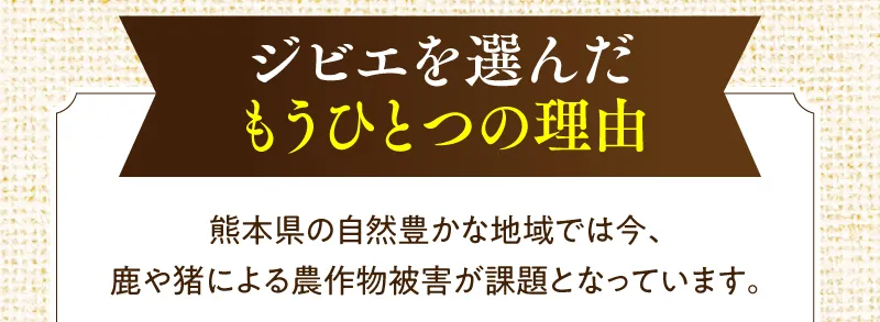 ジビエを選んだもう一つの理由。熊本県のs全豊かな地域では今、鹿やイノシシによる農作物被害が課題となっています。