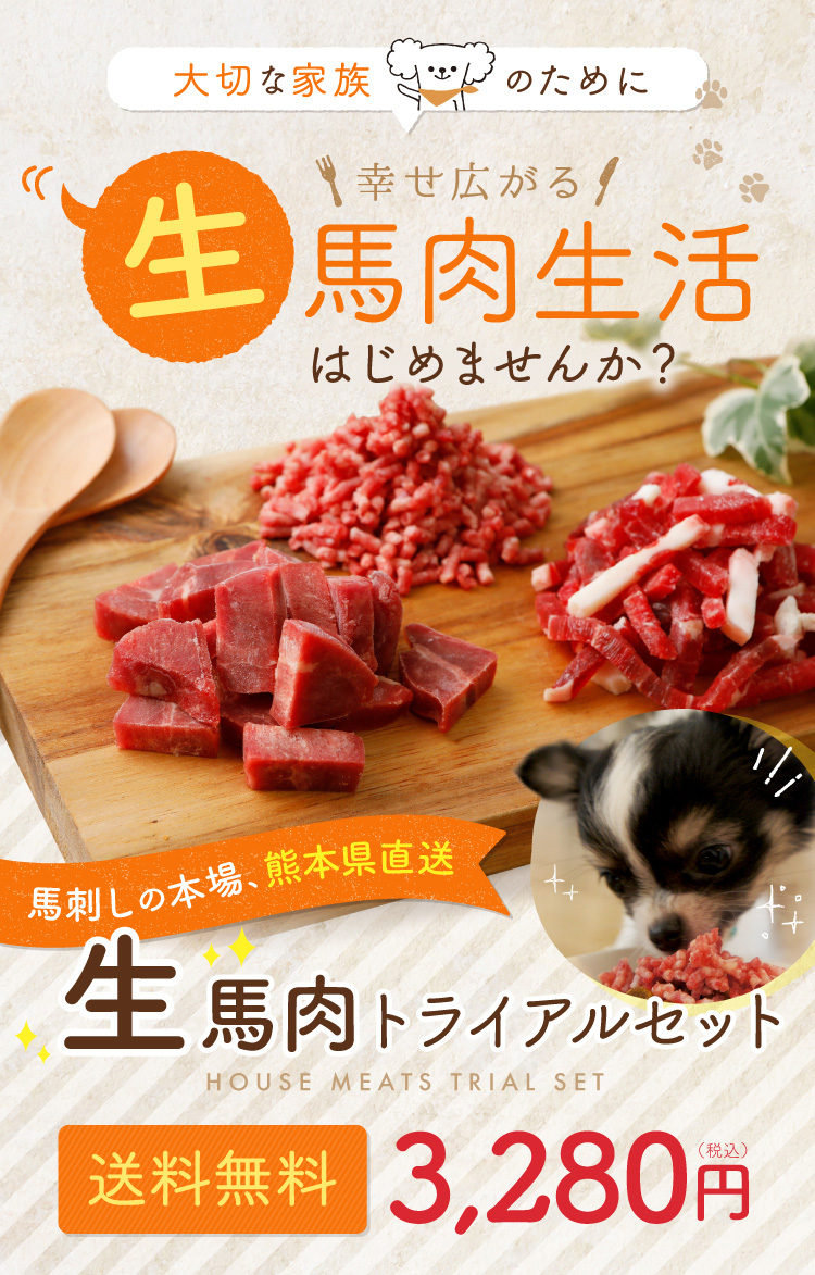 生馬肉トライアルセット