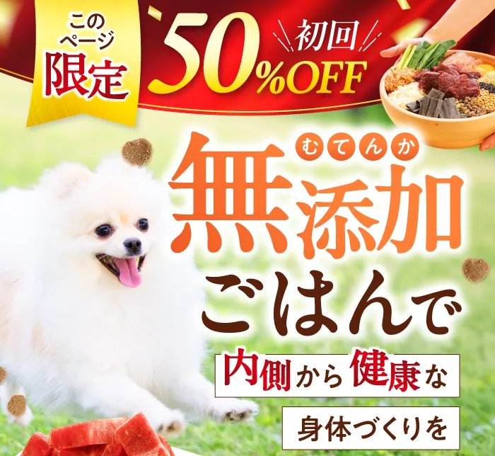 このページ限定　初回50%OFF　無添加ごはんで内側から健康な身体づくりを