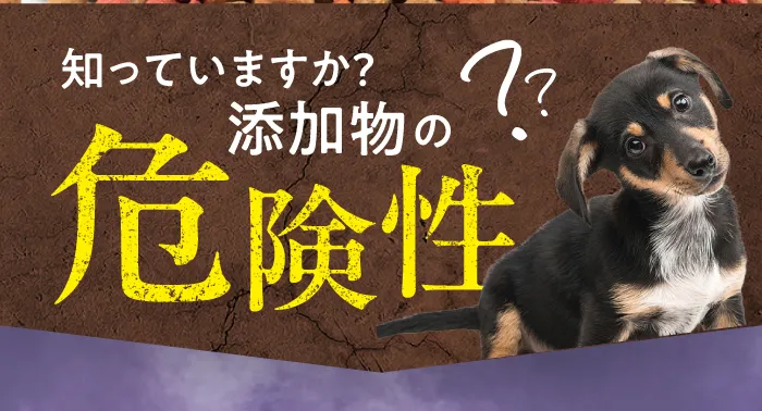 知っていますか？添加物の危険性