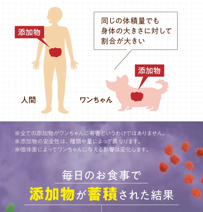 同じ体積量でも身体の大きさに対して割合が大きい