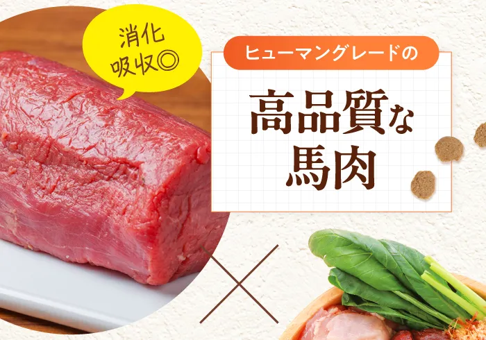 高品質な馬肉