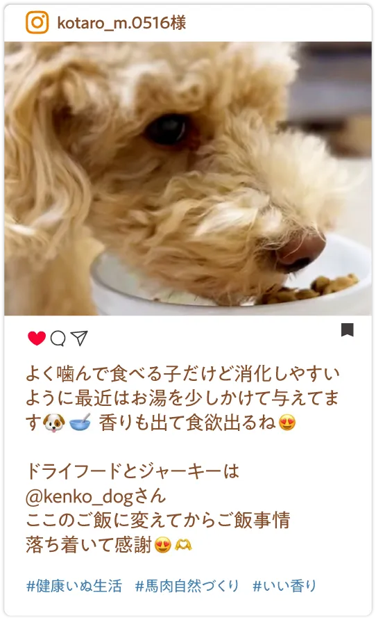 マロンも目の色を変えて食べてました