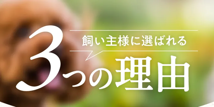 飼い主様に選ばれる3つの理由