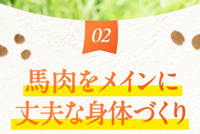 02　馬肉をメインに丈夫な身体づくり