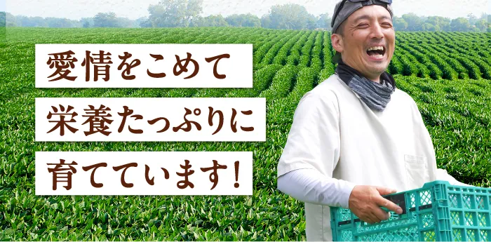 愛情をこめて栄養たっぷりに育てています！