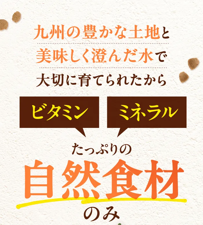 九州の豊かな土地と美味しく澄んだ水で大切に育てられたから、ビタミン
			ミネラルたっぷりの自然食材のみ