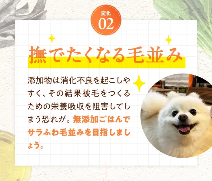 変化02　撫でたくなる毛並み