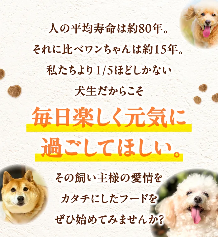 人の平均寿命は約80年。それに比べワンちゃんは約15年。私たちより1/5ほどしかない犬生だからこそ、毎日楽しく元気に過ごしてほしい。その飼い主様の愛情をカタチにしたフードをぜひ始めてみませんか？