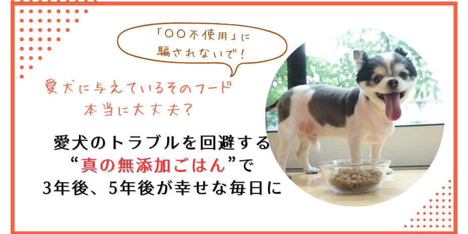 愛犬に与えているそのフード本当に大丈夫？愛犬のトラブルを回避する“真の無添加ごはん”で3年後、5年後が幸せな毎日に