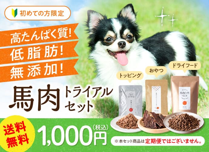 馬肉トライアルセット