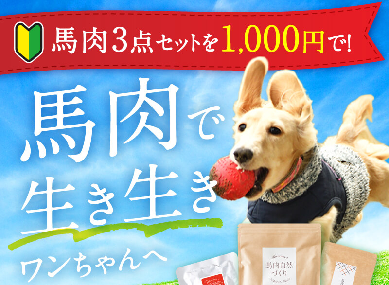 馬肉食べ比べセット ドッグフード ペットフードの通販 犬の食事は健康いぬ生活の馬肉自然づくり