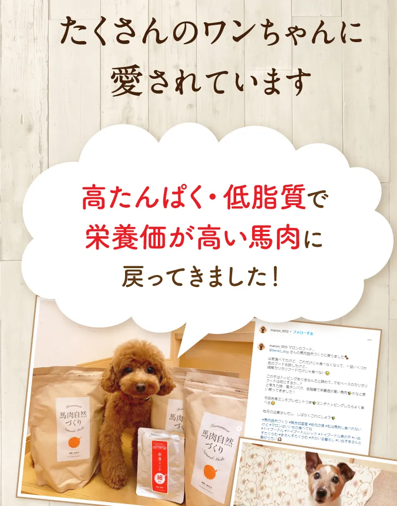 たくさんのワンちゃんに愛されています　高たんぱく・低脂質で栄養価が高い馬肉に戻ってきました！