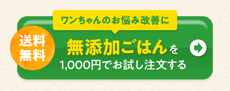 ワンちゃんのお悩み改善に　無添加ごはんを1000円でお試し注文する