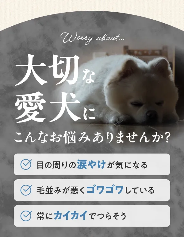 大切な愛犬にこんなお悩みありませんか？