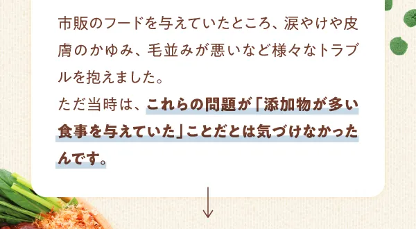 これらの問題が添加物が多い食事を与えていたことだとは気づけなかった