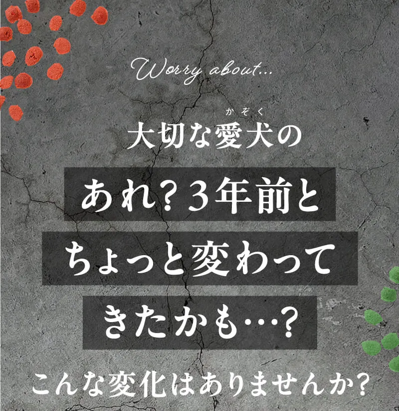 大切な愛犬にこんなお悩みありませんか？
