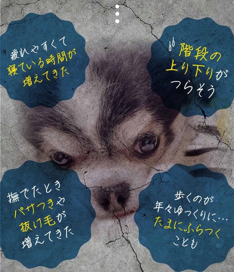 そのお悩み添加物が原因かも？