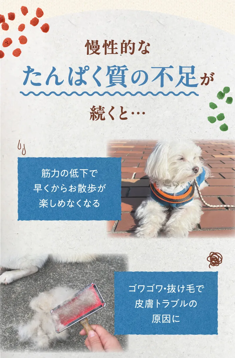 病気のリスクを減らし元気に長生きしてほしい