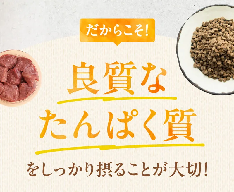 保存料不使用と書かれていても