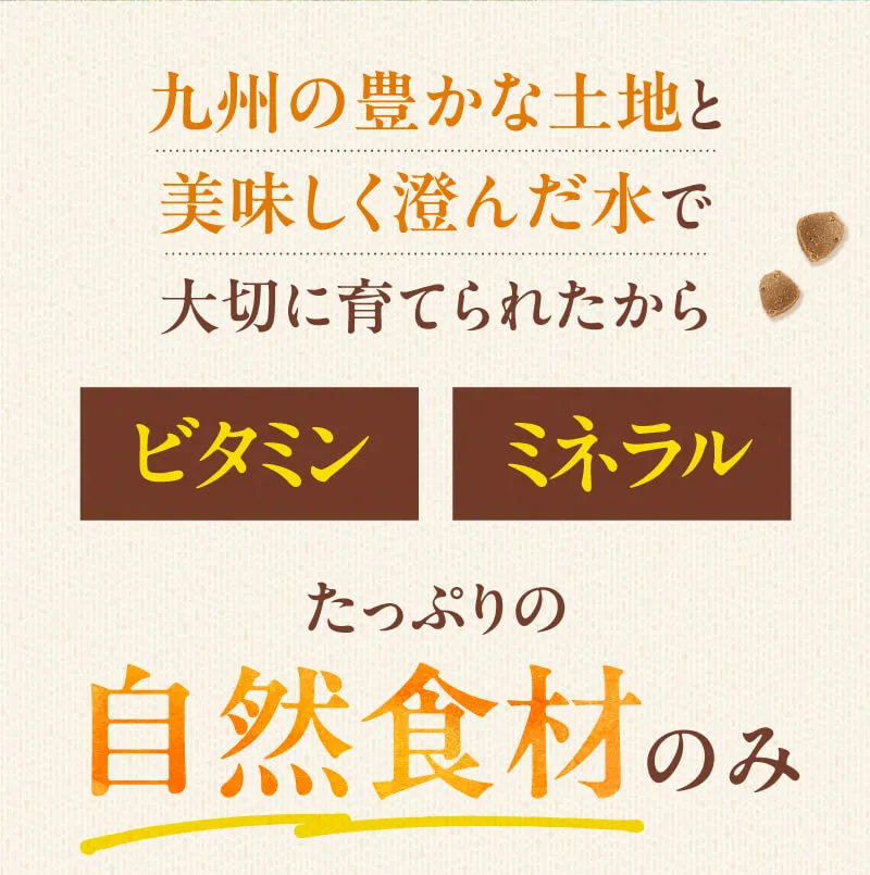 飼い主様のお声