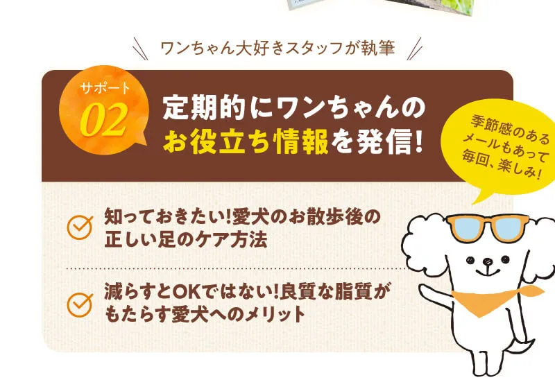同梱物