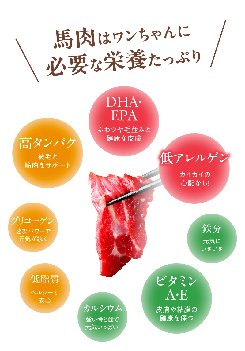 高タンパクかつ低脂質の食材である馬肉をメインに使用
