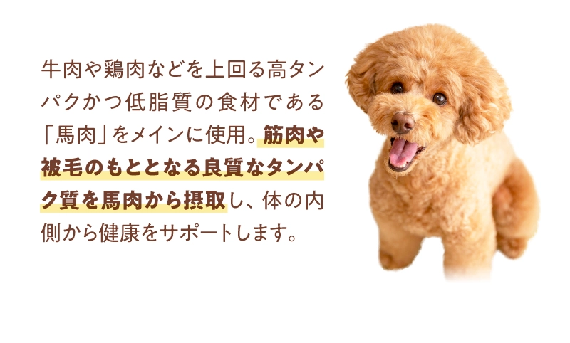 高タンパクかつ低脂質の食材である馬肉をメインに使用