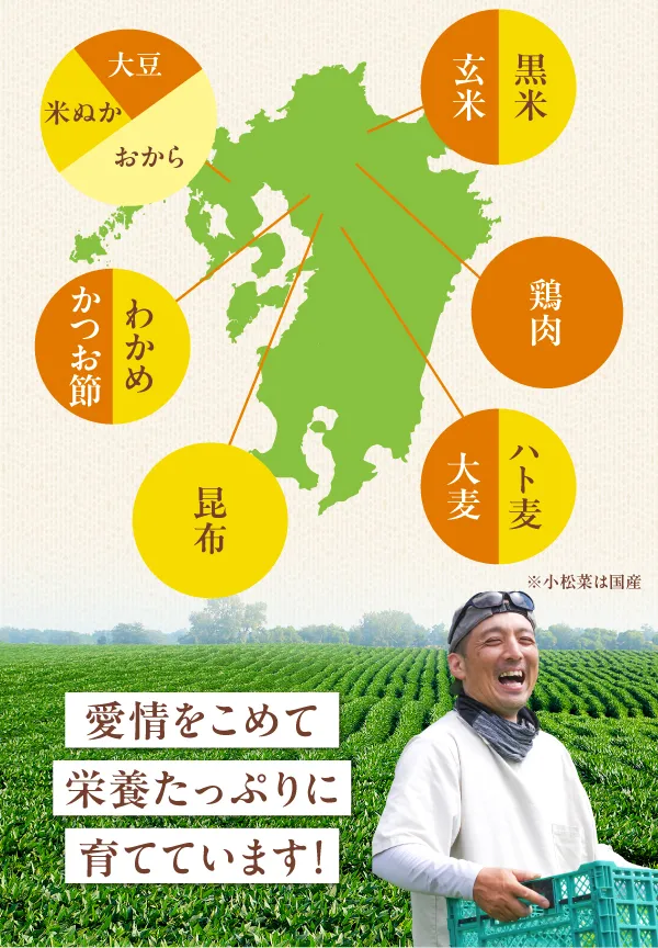 九州産の厳選素材マップ。大豆・米ぬか・おから、玄米・黒米、鶏肉、大麦・ハト麦、昆布・小松菜・わかめ・かつお節。愛情をこめて栄養たっぷりに育てています！と笑う契約農家の男性の写真。