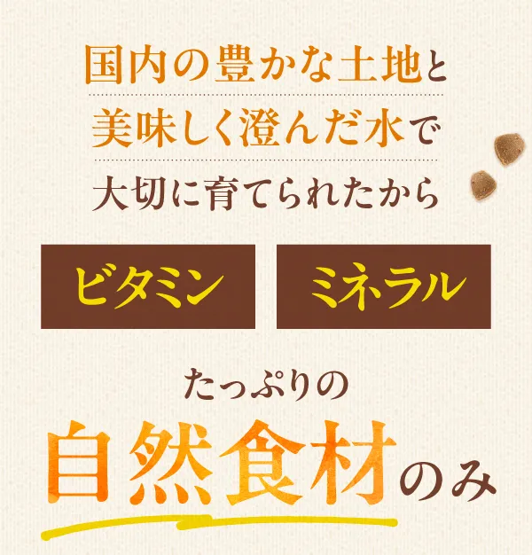 九州の豊かな土地と美味しく澄んだ水で大切に育てられたから、ビタミン・ミネラルたっぷりの自然食材のみ使用。
