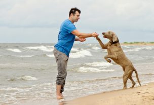 砂浜で飼い主と遊ぶ犬